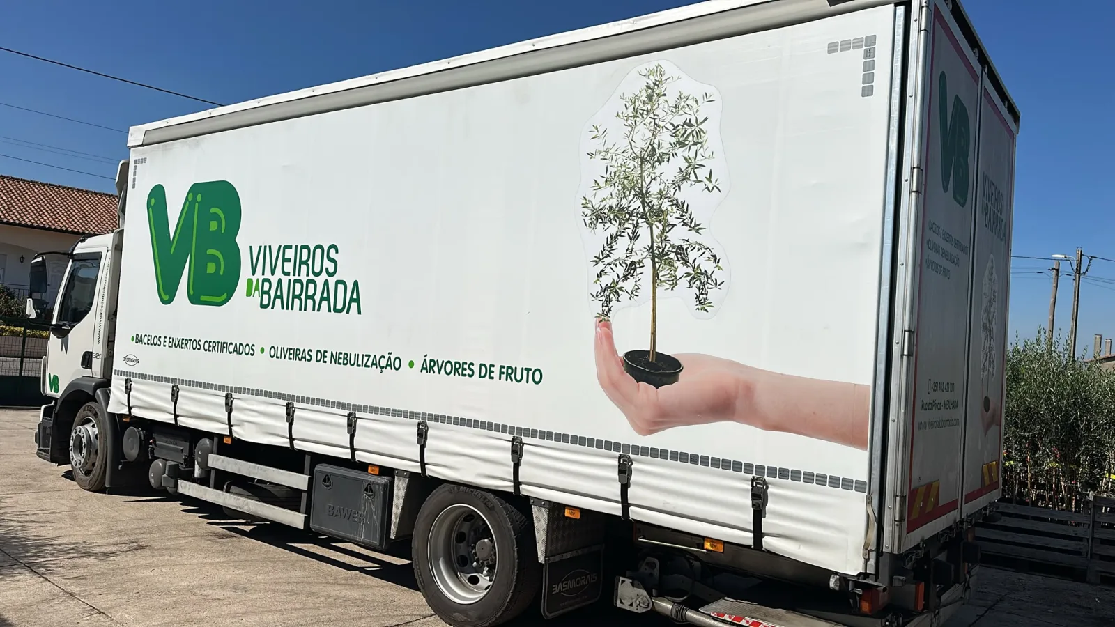 Viveiros da Bairrada